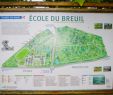 Jardin D Acclimatation Plan Beau Arboretum Du Bois De Vincennes Paris 2020 All You Need