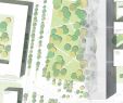 Jardin D Acclimatation Plan Frais sou Fujimoto to Build Learning Center at Ecole Polytechnique