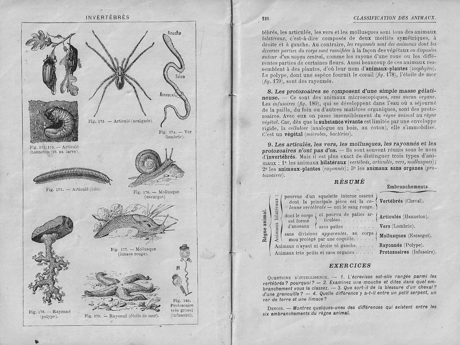 Dutilleul Ramé Sciences physiques et naturelles CM CS0064