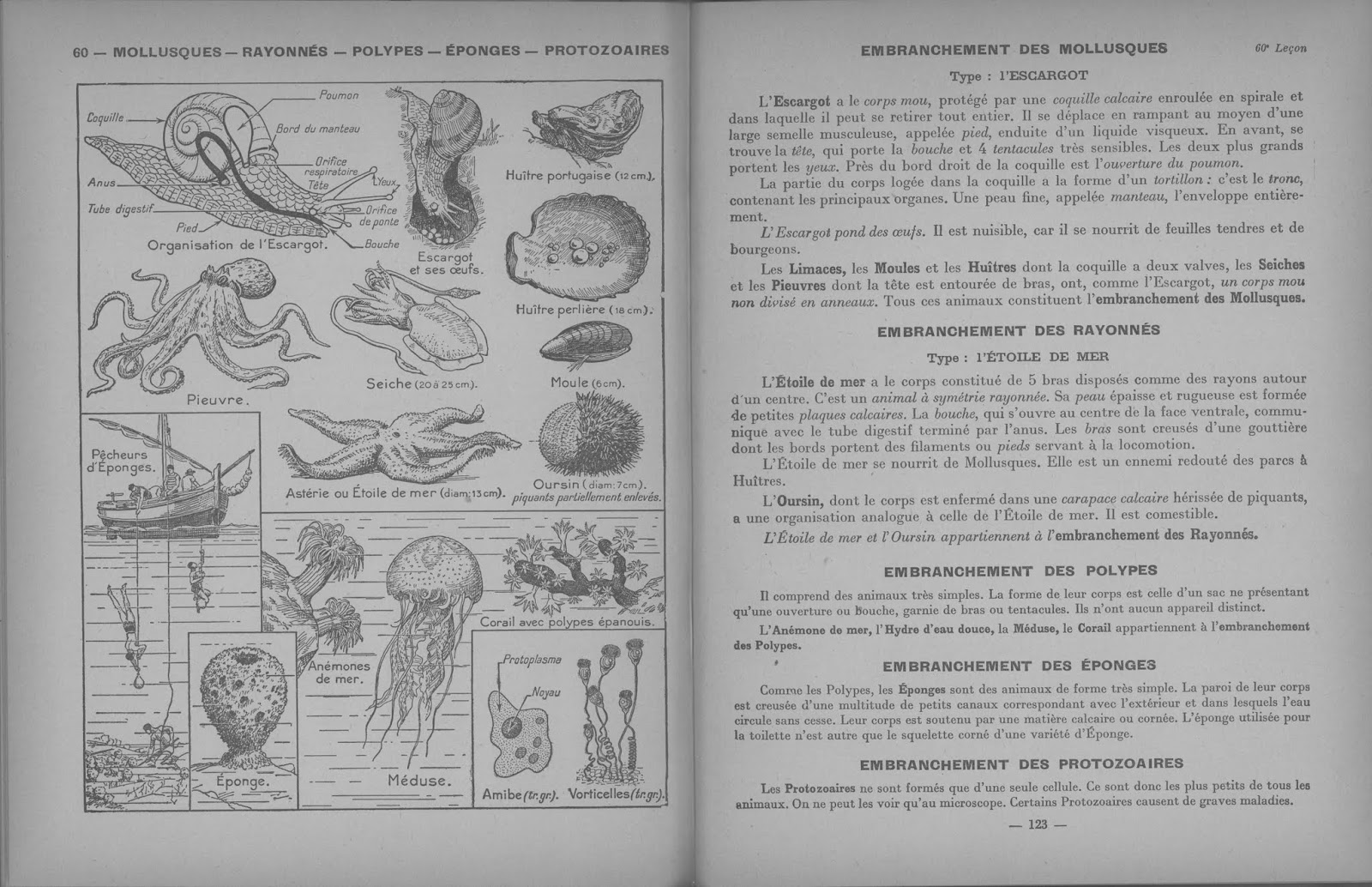 Dirand Carron Les sciences au cours supérieur Leçons de choses CM2 1954 0063