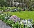 Jardin D Eze Élégant Un Jardin Breton D Agapanthes Et D Hortensias Bleus