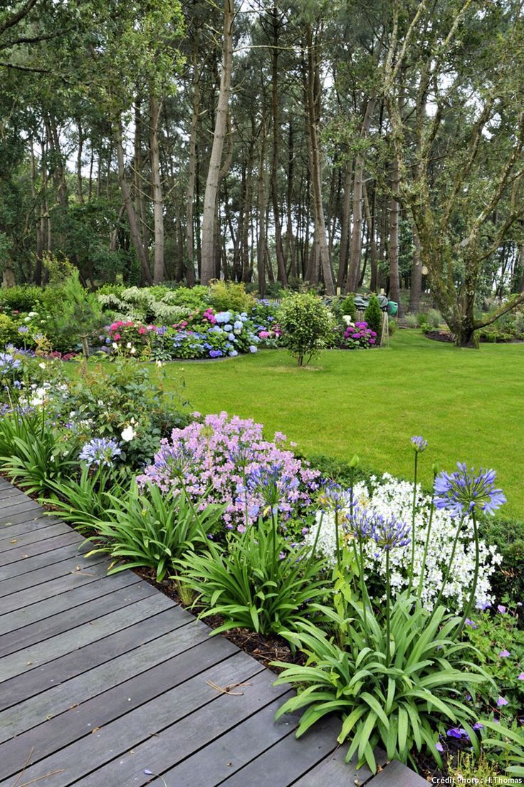 Jardin D Eze Élégant Un Jardin Breton D Agapanthes Et D Hortensias Bleus