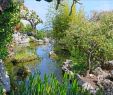 Jardin D Eze Frais File Le Jardin Exotique De Monaco