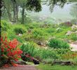 Jardin De Berchigranges Beau S Vosges Page 4