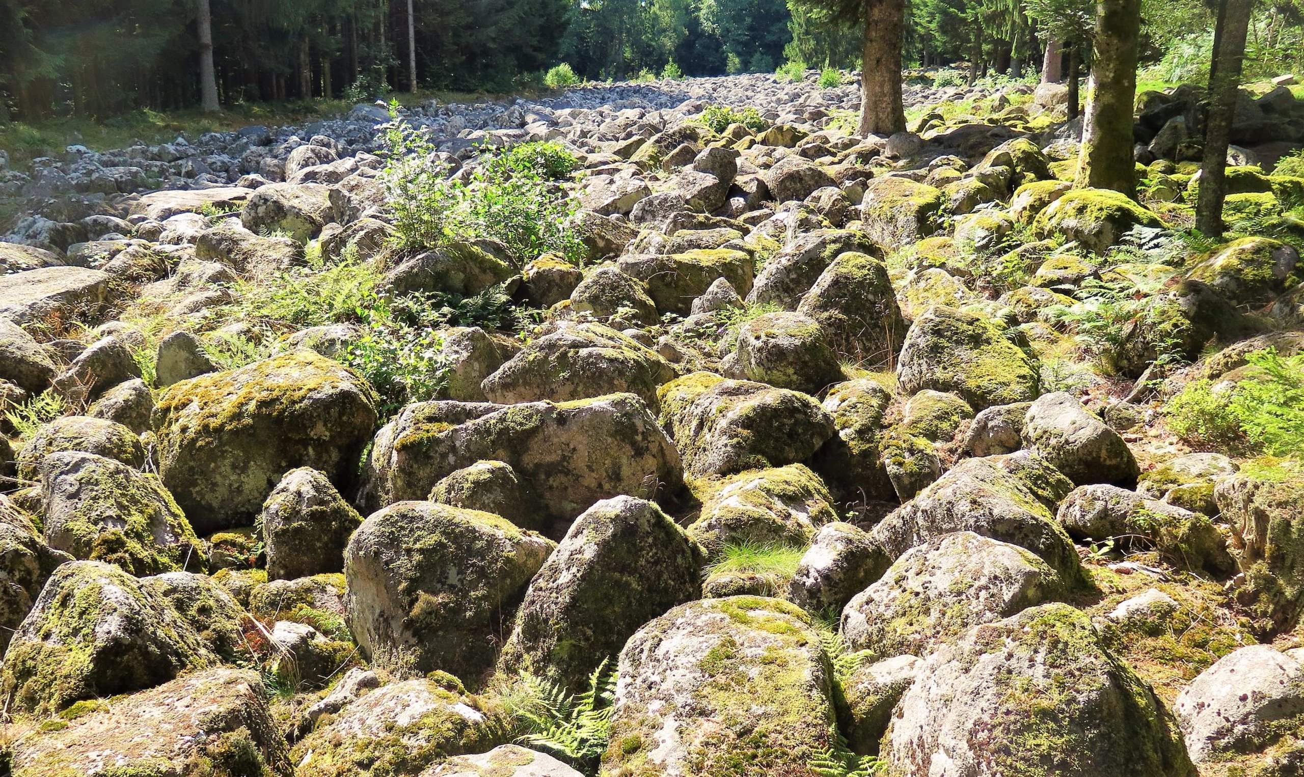 Jardin De Berchigranges Nouveau Granges Sur Vologne 2020 Best Of Granges Sur Vologne