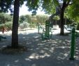 Jardin De Berthe Charmant Square Du Serment De Koufra Paris 2020 All You Need to
