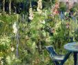 Jardin De Berthe Élégant 172 Best Berthe Morisot Images