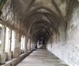 Jardin De Chine Rouen Élégant Abbatiale Saint Ouen Rouen Tripadvisor