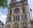 Jardin De Chine Rouen Frais Notre Dame De Mantes