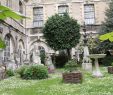 Jardin De Chine Rouen Nouveau the Museum