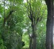 Jardin De France Charmant Parc Des Hauteurs