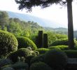 Jardin De France Génial the Provence Post Five Gorgeous Provence Gardens to Visit