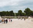 Jardin De Gally Unique the Jardin Des Tuileries In Paris A Royal Gem