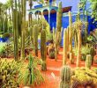 Jardin De Kew Charmant 9 Reasons to Visit Marrakech In the F Season