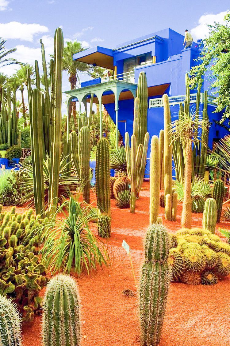 Jardin De Kew Charmant 9 Reasons to Visit Marrakech In the F Season