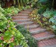 Jardin De Kew Élégant 25 Brilliant Garden Paths Decor Ideas 15 Gardenpath