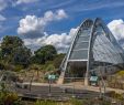 Jardin De Kew Élégant File Alpine House Kew Gardens 2018 Edit Wikimedia