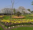 Jardin De Kew Nouveau File Kew Gardens Palm House 6248 Jpg Wikimedia Mons