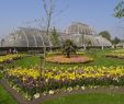 Jardin De Kew Nouveau File Kew Gardens Palm House 6248 Jpg Wikimedia Mons