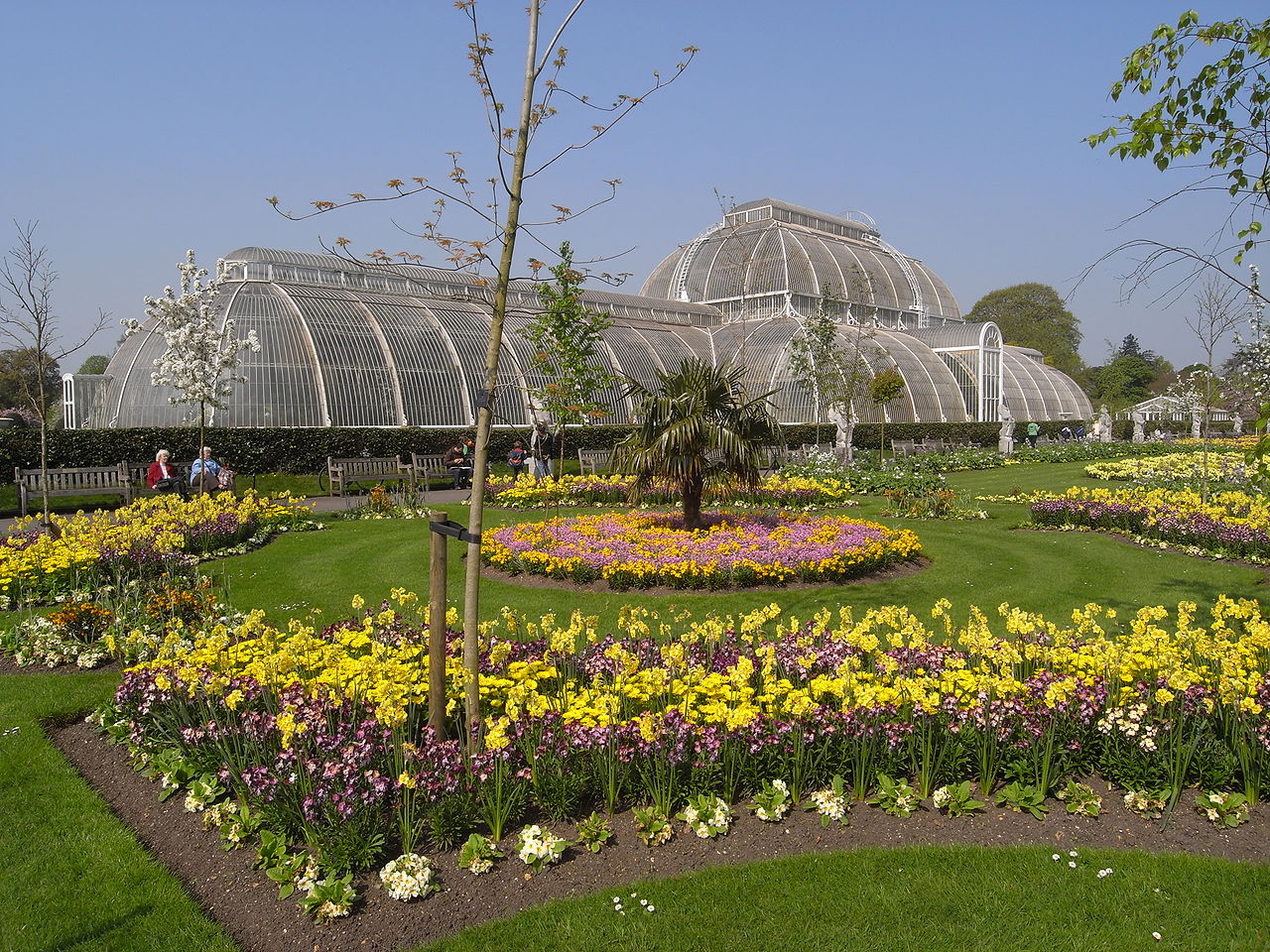 1280px Kew Gardens Palm House 6248 JPG