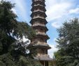 Jardin De Kew Nouveau the Great Pagoda Kew 2020 All You Need to Know before