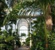 Jardin De Kew Unique ð On In 2019