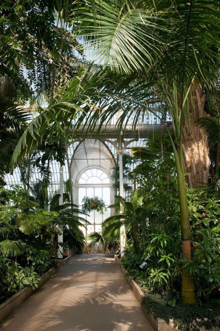 Jardin De Kew Unique ð On In 2019