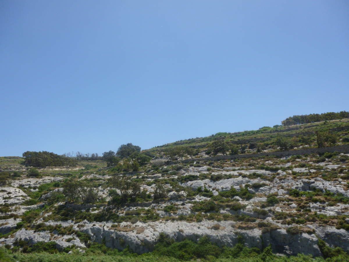 Jardin De L Acclimatation Génial Trip In Malta and Gozo