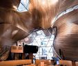 Jardin De L Acclimatation Inspirant 82 Fantastiche Immagini Su Frank Gehry