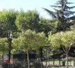 Jardin De L Himalaya Élégant Sant Jordi Park In Reus 6 Reviews and 4 Photos