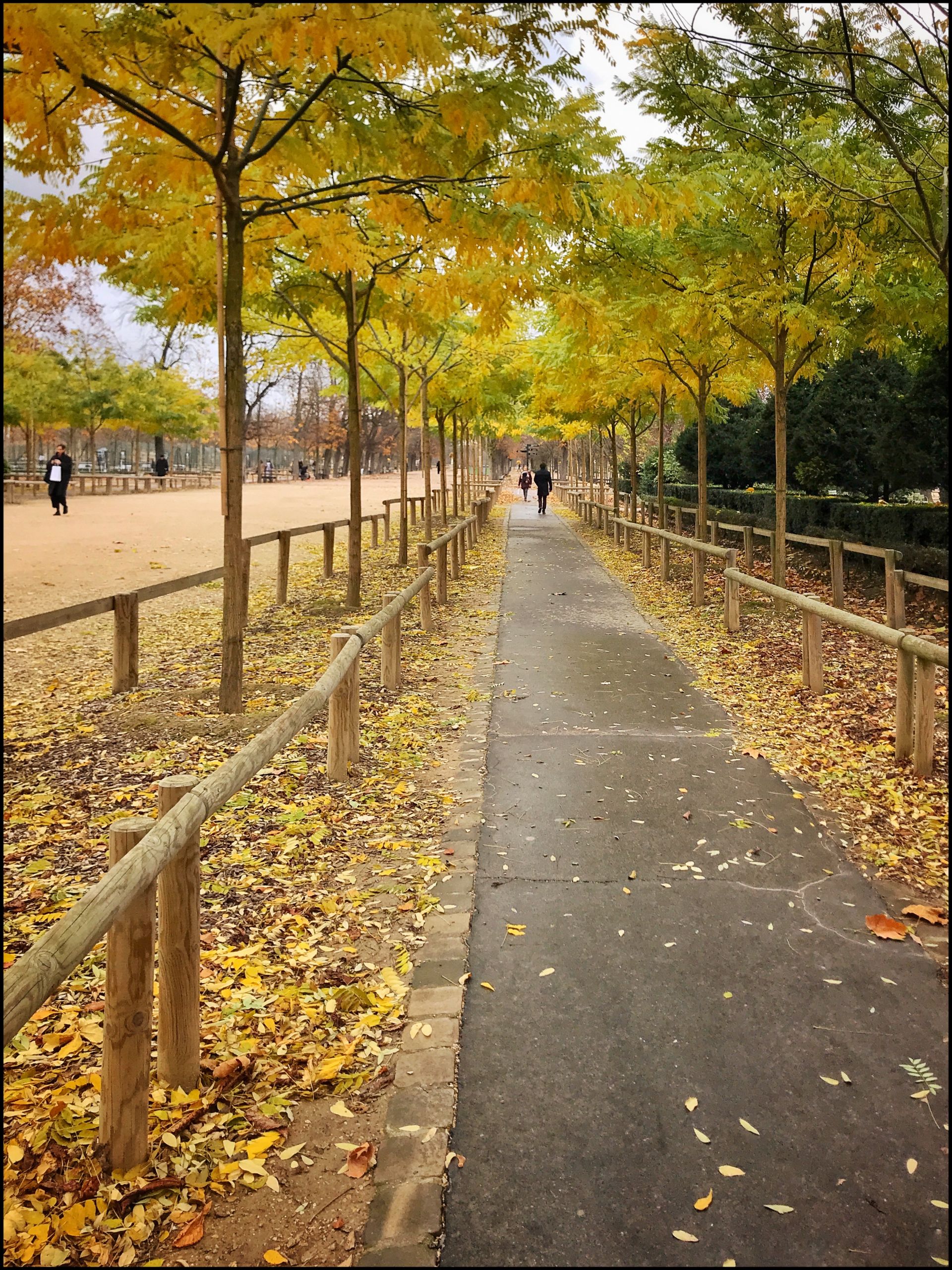 Jardin De Luxembourg Paris Beau File Jardin Du Luxembourg Wikimedia Mons