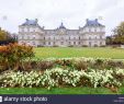 Jardin De Luxembourg Paris Élégant Paris France Luxembourg Garden View Stock S & Paris