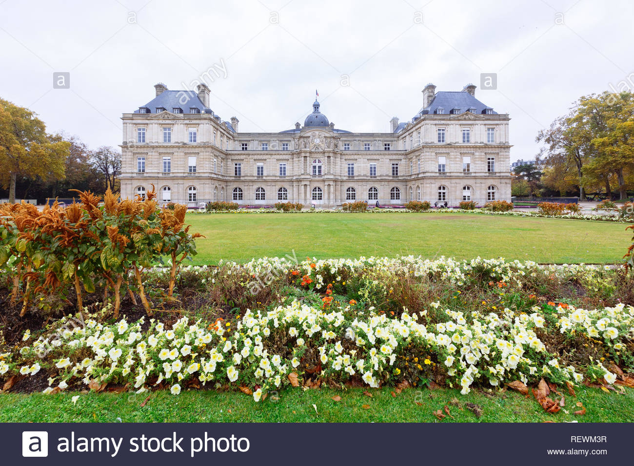 paris france luxembourg palace in luxembourg garden jardin de luxembourg REWM3R