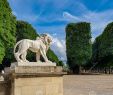 Jardin De Luxembourg Paris Luxe Paris France June 2019 the Statue Lion In the Jardin