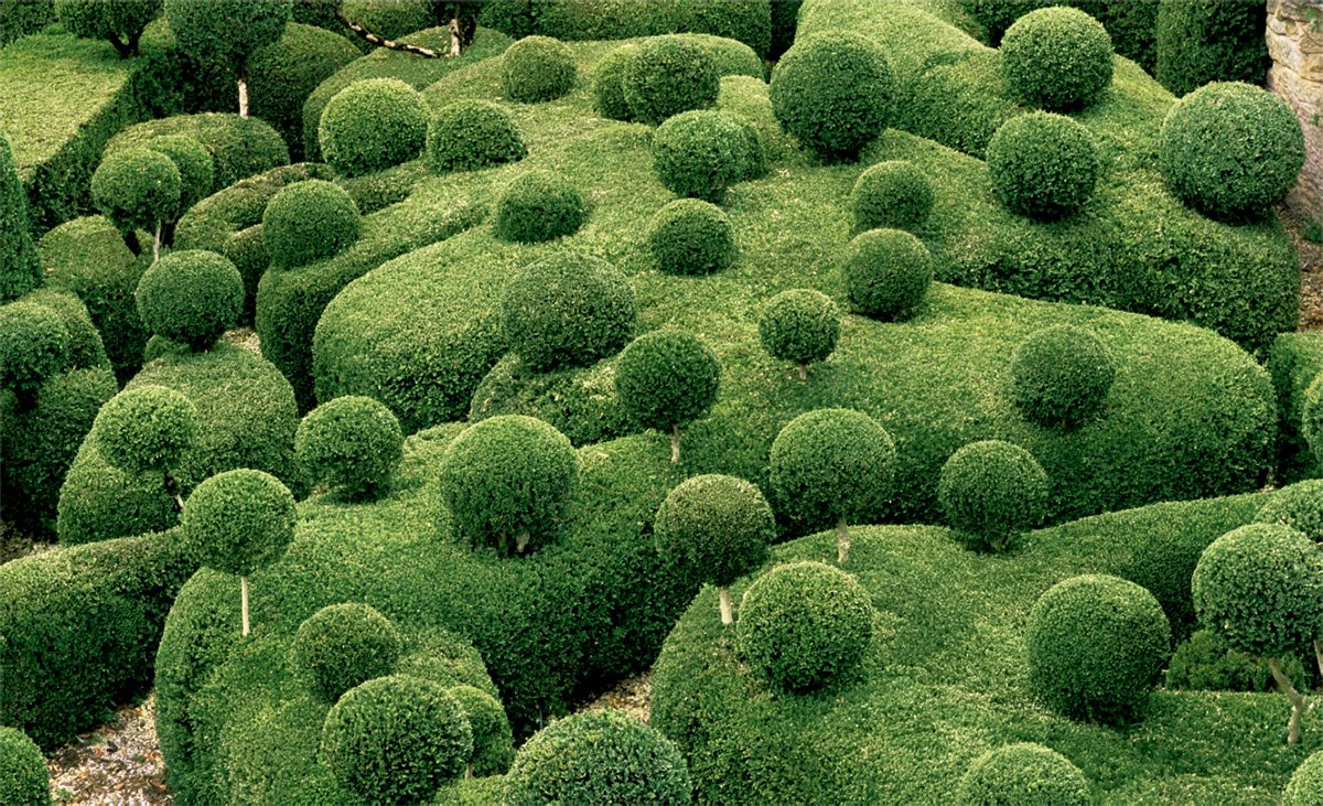 Jardin De Marqueyssac Beau Pam Chavez Brushagain