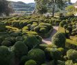 Jardin De Marqueyssac Beau topiary In the Gardens the Jardins De Marqueyssac In the