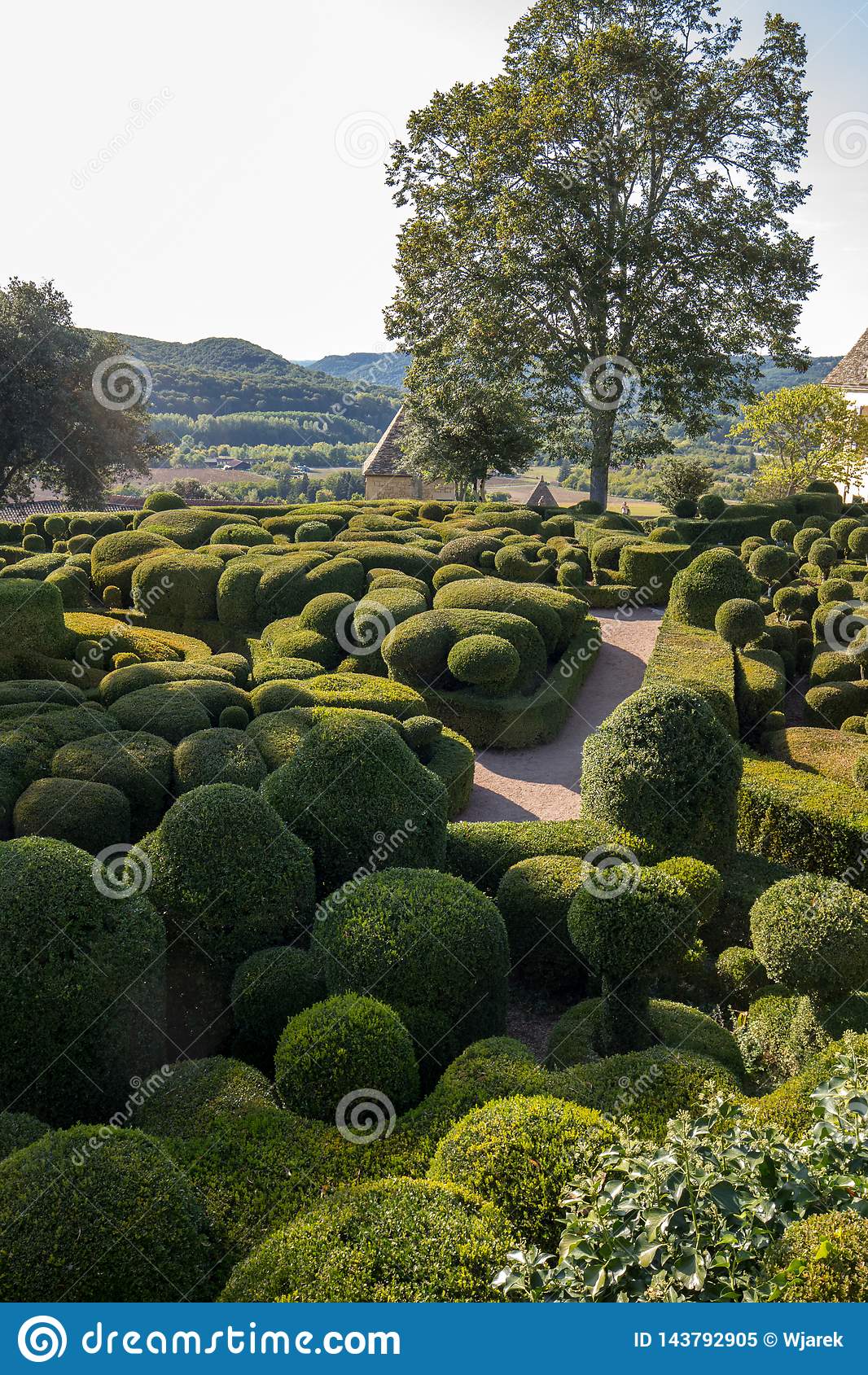 topiary gardens jardins de marqueyssac dordogne region france topiary gardens jardins de