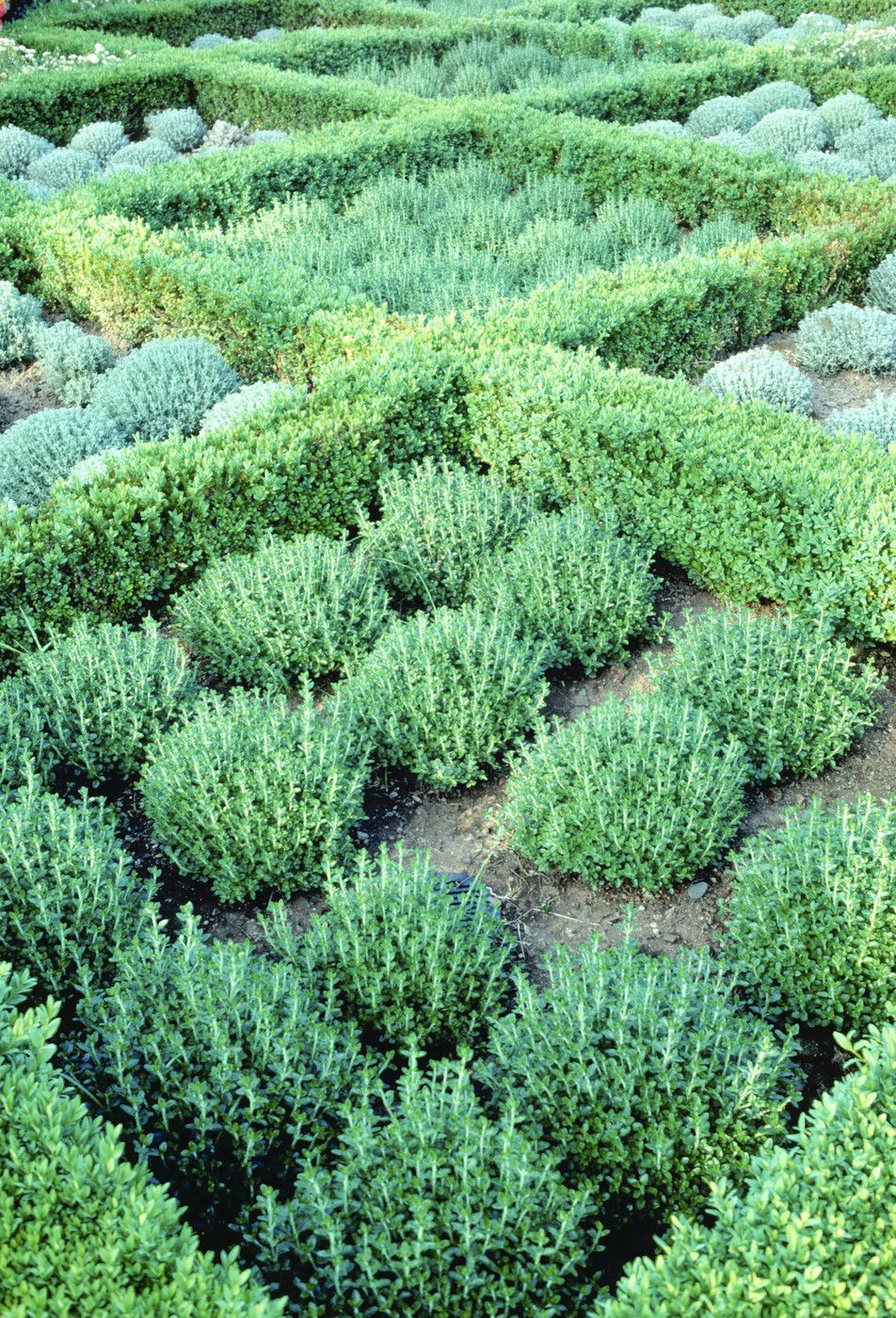 Jardin De Marqueyssac Charmant Les Jardins De Marqueyssac by Eric Sander