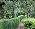 Jardin De Marqueyssac Élégant Jardins De Marqueyssac