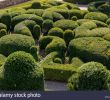 Jardin De Marqueyssac Élégant Marqueyssac Dordogne France Stock S & Marqueyssac