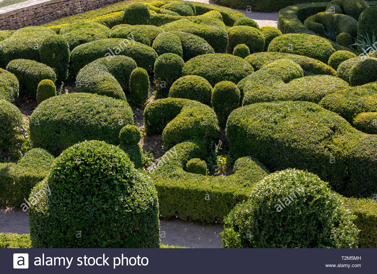 topiary in the gardens of the jardins de marqueyssac in the dordogne region of france T2M5MH