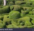 Jardin De Marqueyssac Frais topiary at the Chateau De Marqueyssac Dordogne France Stock
