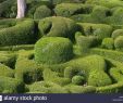 Jardin De Marqueyssac Frais topiary at the Chateau De Marqueyssac Dordogne France Stock