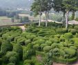 Jardin De Marqueyssac Frais topiary at the Chateau De Marqueyssac Dordogne France Stock