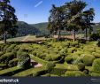 Jardin De Marqueyssac Inspirant Dordogne France topiary Gardens Jardins Stock