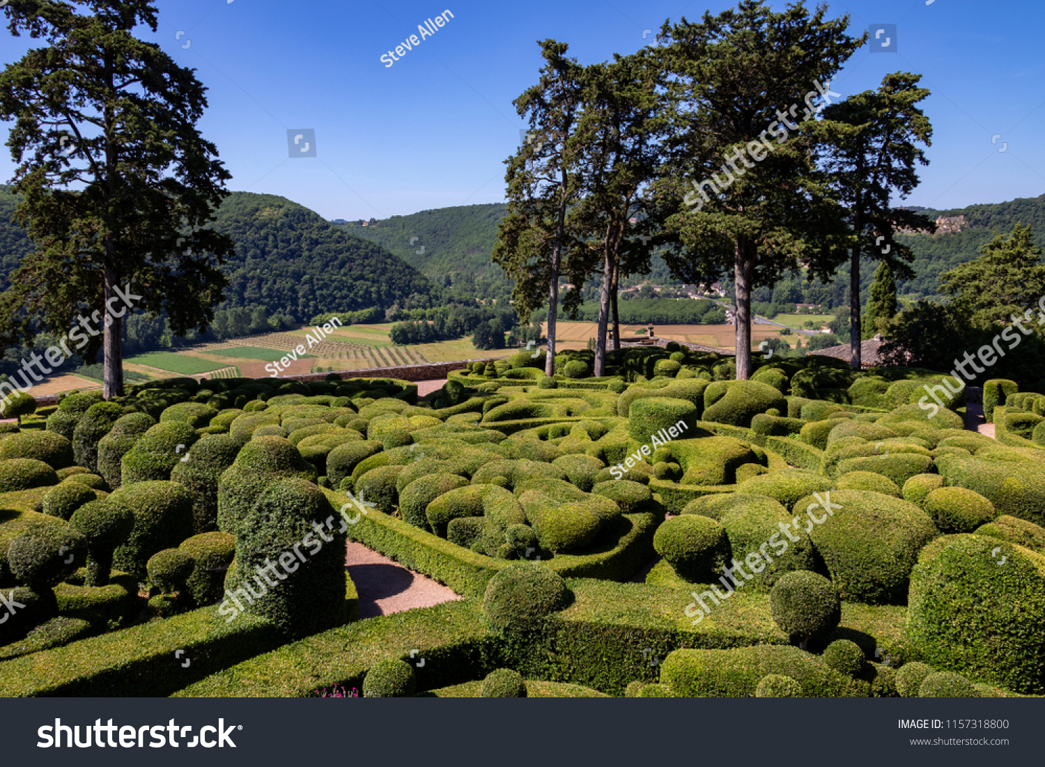 stock photo dordogne france topiary in the gardens of the jardins de marqueyssac in the dordogne