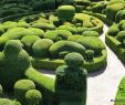 Jardin De Marqueyssac Inspirant Moje Podr³Å¼e BliÅ¼sze NiÅ¼ Dalsze Dordogne Moje Miejsce Na