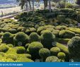 Jardin De Marqueyssac Inspirant topiary In the Gardens the Jardins De Marqueyssac In the