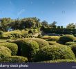 Jardin De Marqueyssac Luxe Gardens Of the Chateau De Marqueyssac In the Historic