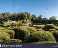 Jardin De Marqueyssac Luxe Gardens Of the Chateau De Marqueyssac In the Historic
